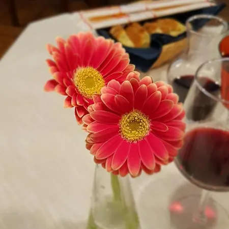 Appartamento Memorie1 Lust Auf Zuhause Ferien In Der Provinz Herford