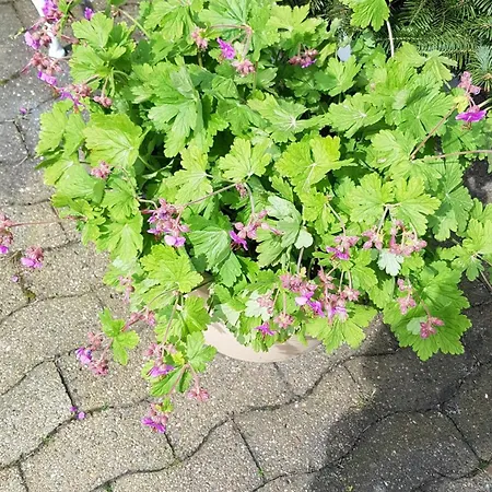 Memorie1 Lust Auf Zuhause Ferien In Der Provinz