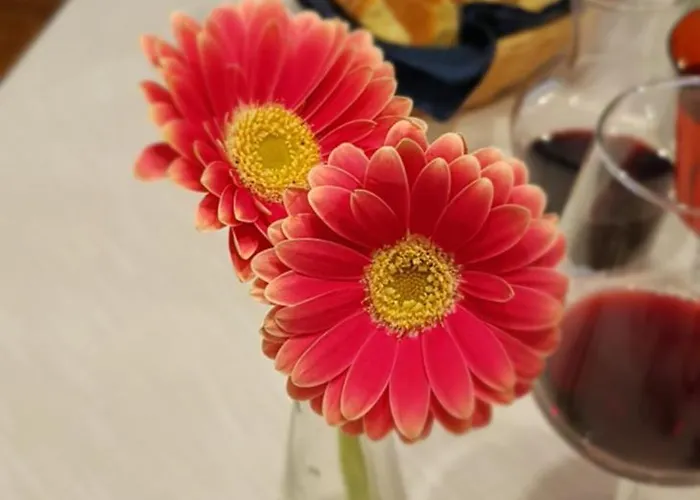 아파트 Memorie1 Lust Auf Zuhause Ferien In Der Provinz 허포드