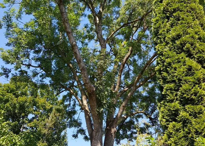 아파트 Memorie1 Lust Auf Zuhause Ferien In Der Provinz